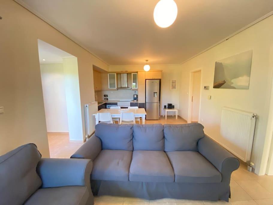 Cozy 2 Room Apartment With Garden Near Athens Air-Port أرتيميدا المظهر الخارجي الصورة