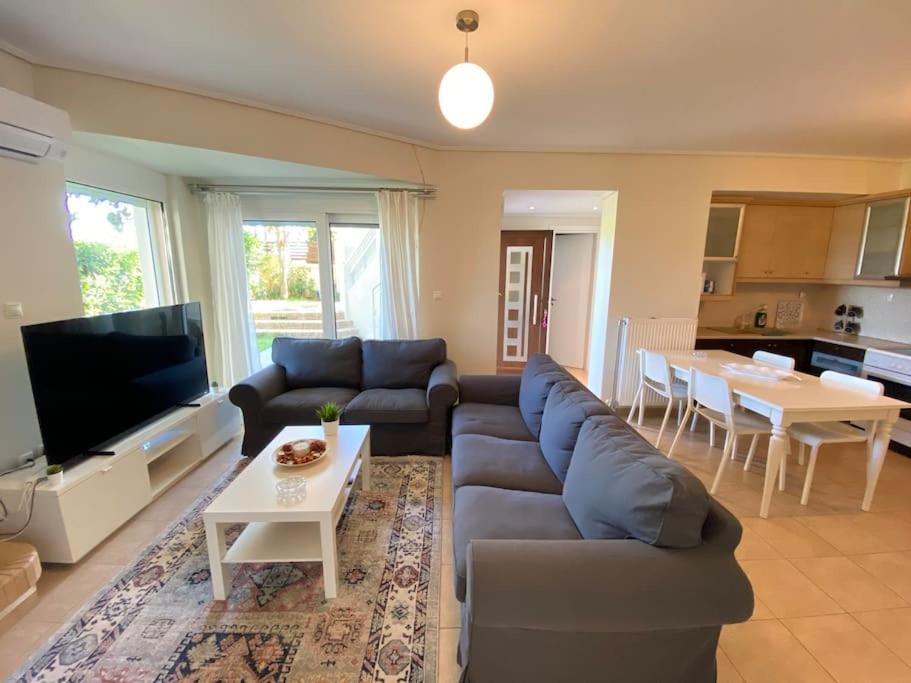 Cozy 2 Room Apartment With Garden Near Athens Air-Port أرتيميدا المظهر الخارجي الصورة